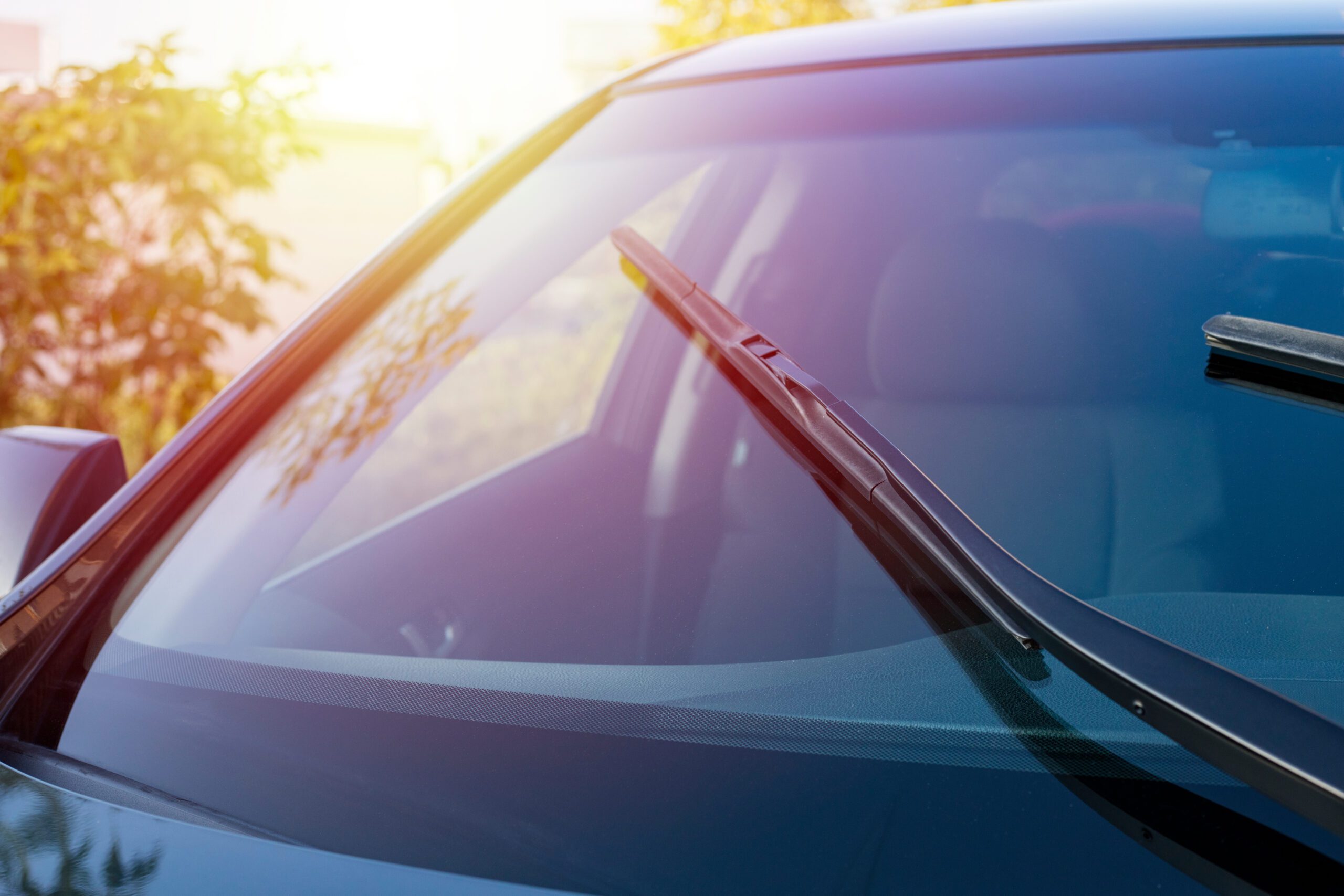 Windshield up close